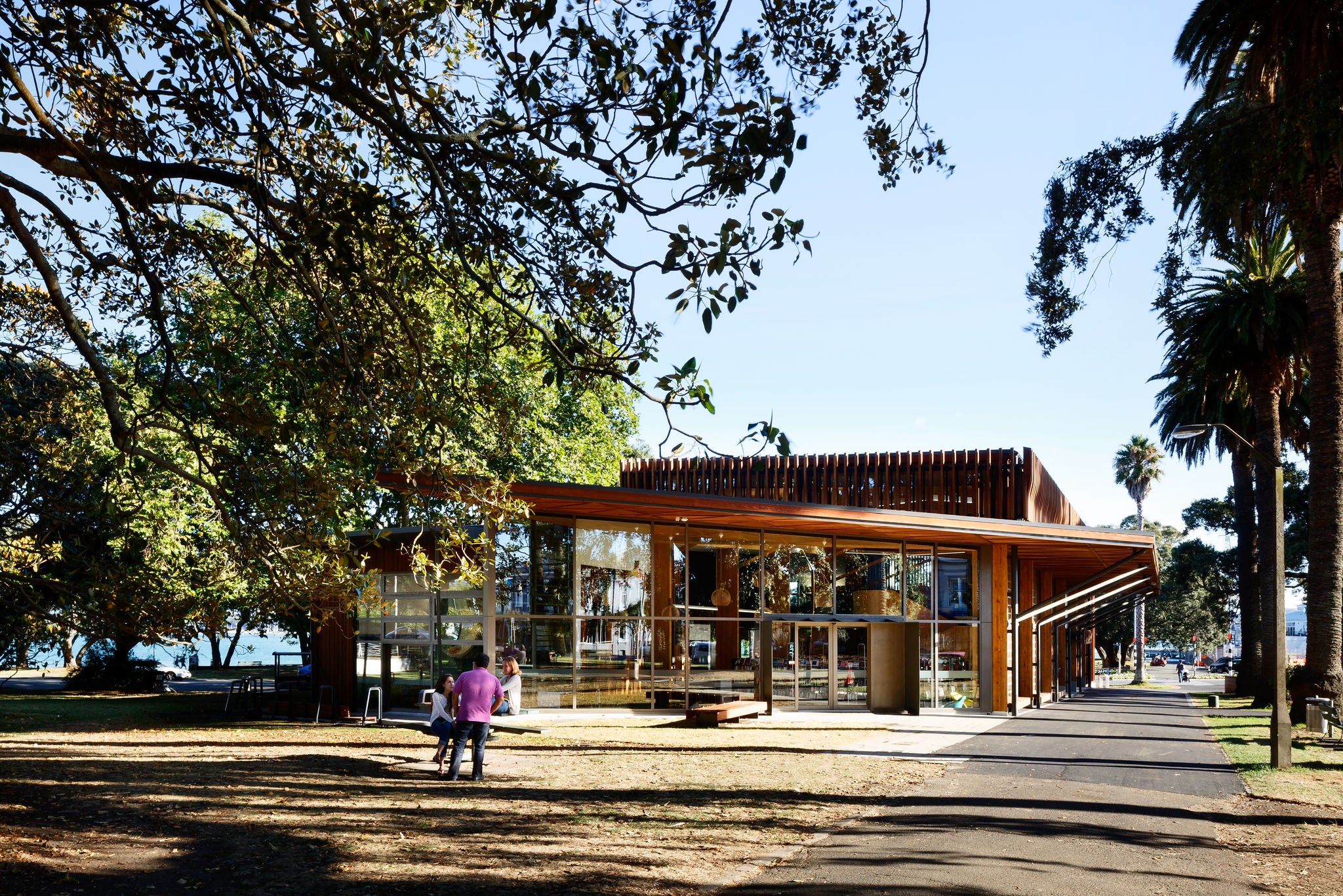 People playing in the park outside the library on the main street.