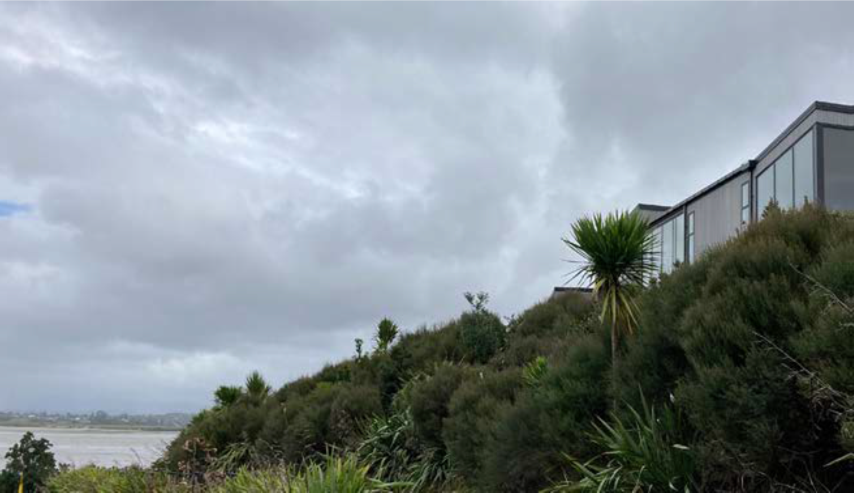 Development on the coast must be sensitive to its environment. Built forms should be low scale, set back from the coastal edge and screened with native and locally occurring vegetation.