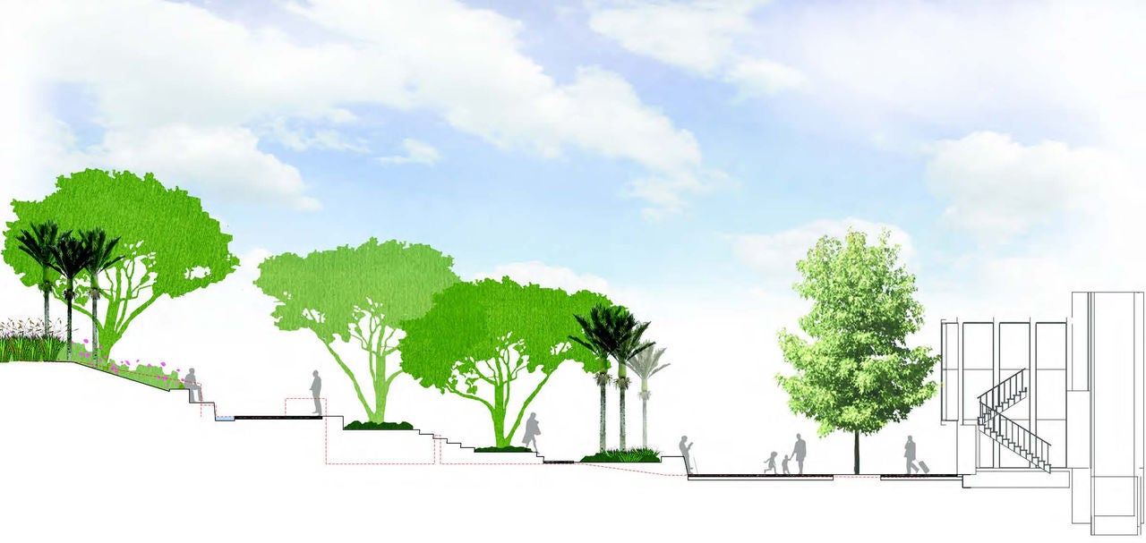 A drawing of a cross section of the terraces and tree planting in the square.