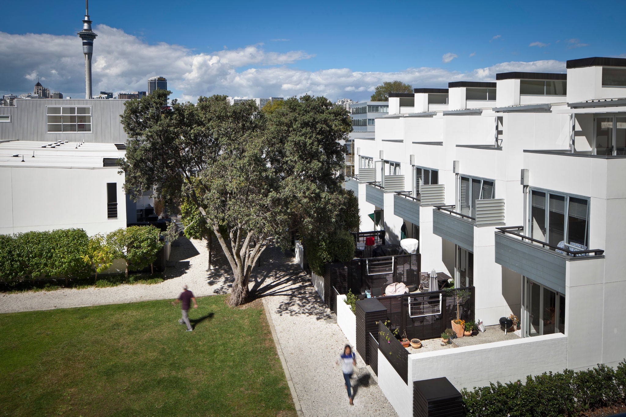 A wide green lawn hemmed with trees and terraces in the development.