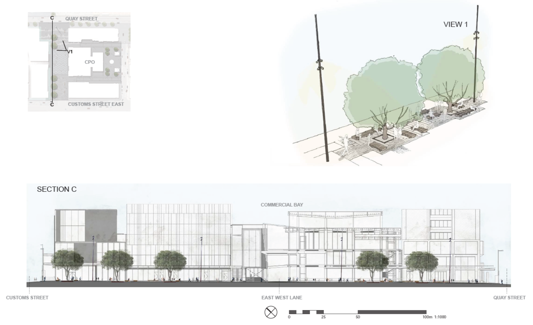 A series of diagrams showing the loactions of mature trees and planting. 