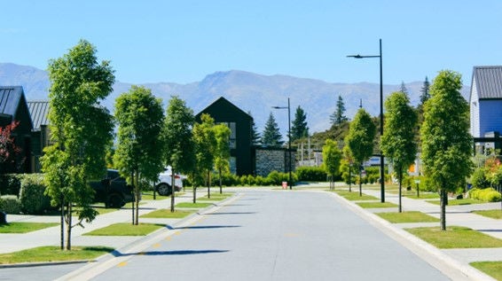 Ensure the vegetation is protected during construction. Select street trees to integrate with the character of the subdivision and built form. They provide habitat, amenity and add value to the development. Image credit: Easybigtrees NZ.