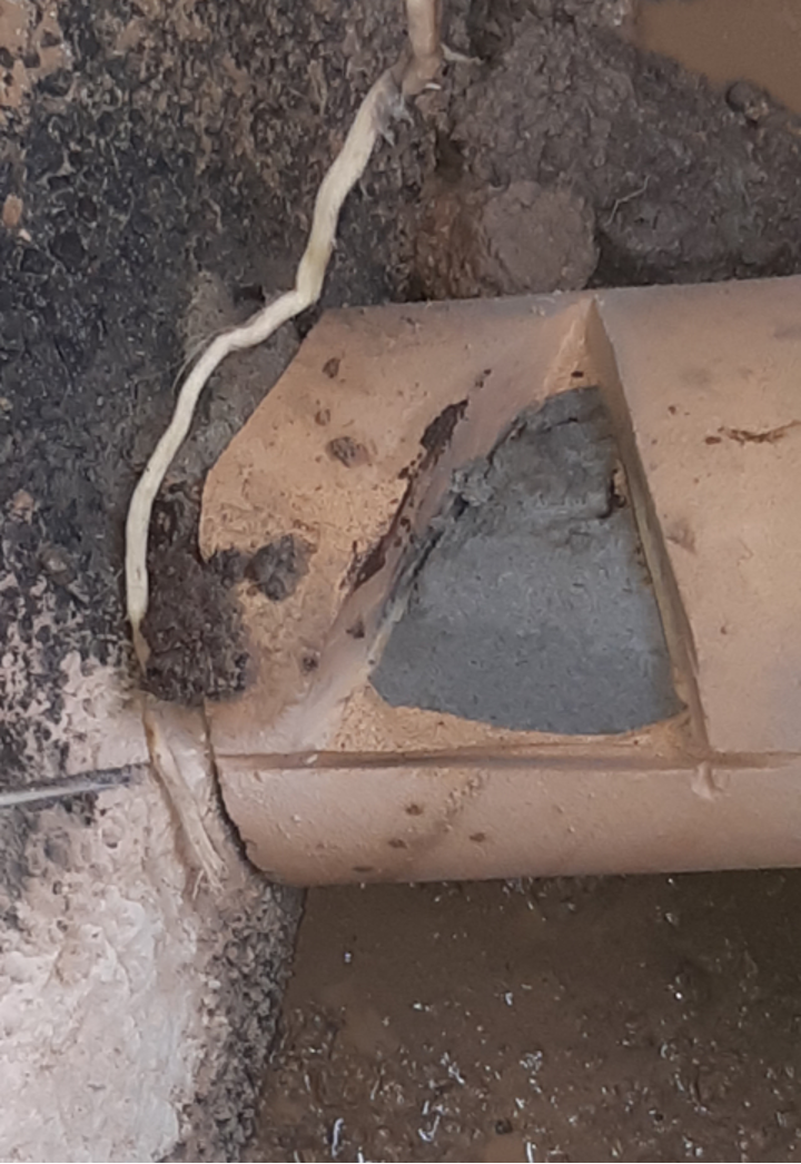 A pipe with a section cut out of the top to show it totally blocked with concrete at 13 Staverton Crescent