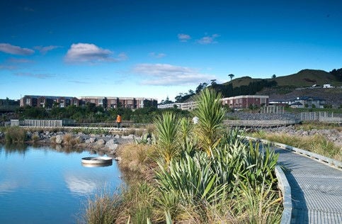 Stormwater treatment and native planting integrated into, and a feature of the subdivision. Image credit: Candor3.